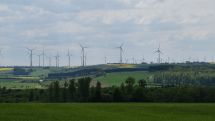 Wegfall von Brutplätzen, fehlerhafter Flächennutzungsplan, zu hohes Prozessrisiko ohne Aussicht auf Erfolg